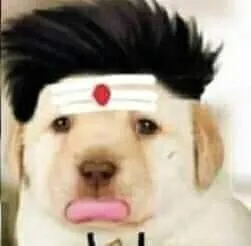 Perro | Tamil Meme Templates