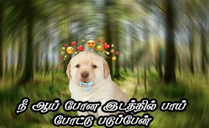 Perro-simp Tamil Meme Templates