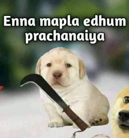 Perro-prachanai Tamil Meme Templates