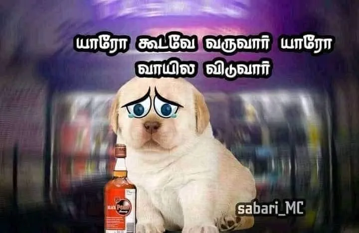 Perro-tears Tamil Meme Templates