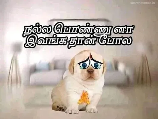 Perro-nalla-ponnu Tamil Meme Templates