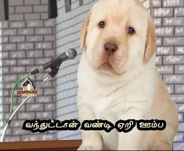 Perro-vandi Tamil Meme Templates