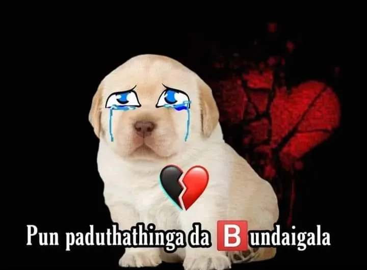 Perro-hurt Tamil Meme Templates