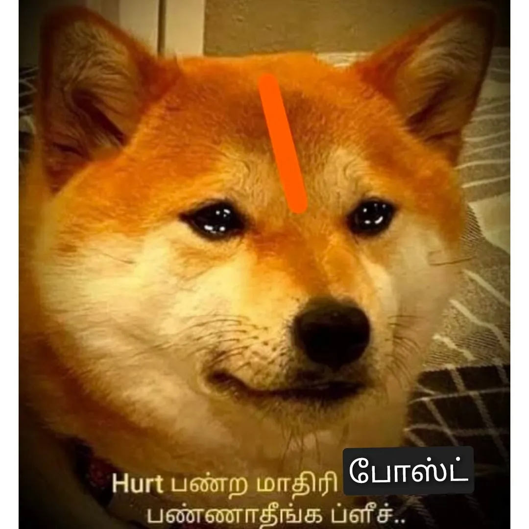 Don't hurt me Tamil Meme Templates