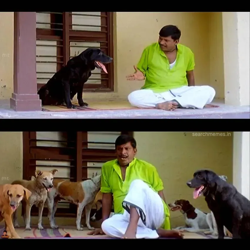 Vadivelu gesturing angrily while talking down to sniffing animals on the road