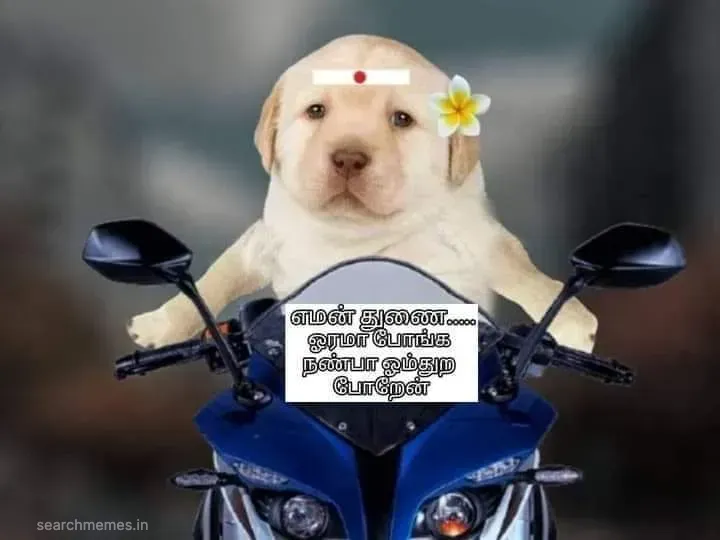 Perro-orama-po Tamil Meme Templates