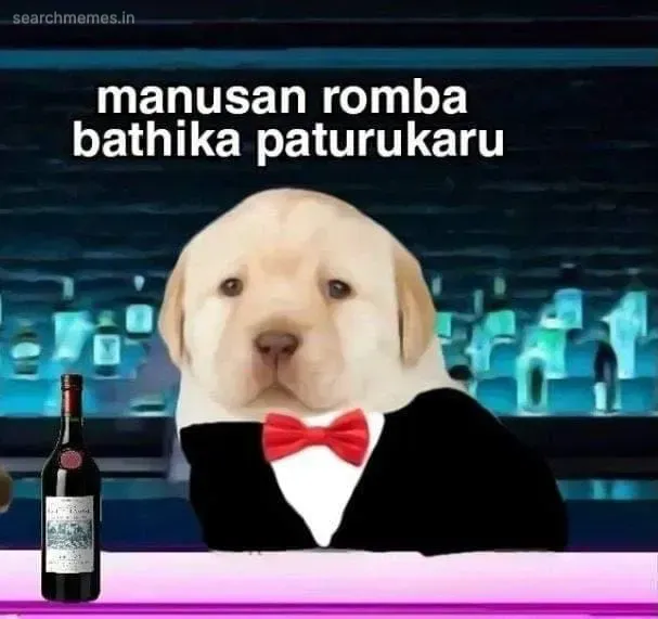 Perro-drinking Tamil Meme Templates