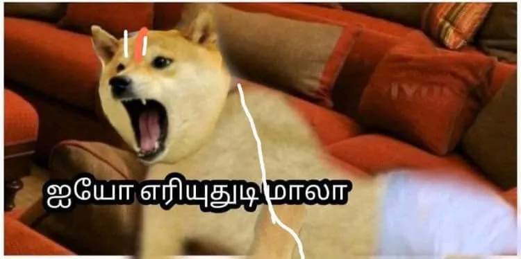 Cheems Tamil Meme Templates