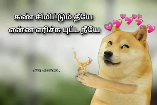 Cheems-kan-simittum-theeye Tamil Meme Templates