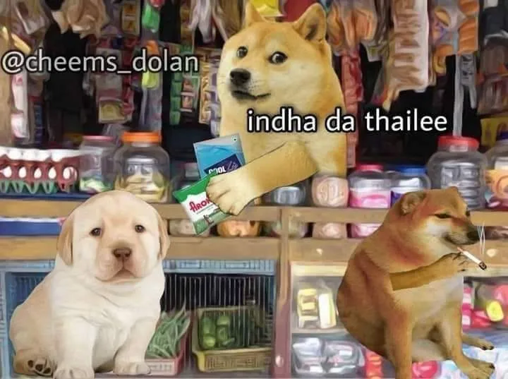 Perro-smoke Tamil Meme Templates