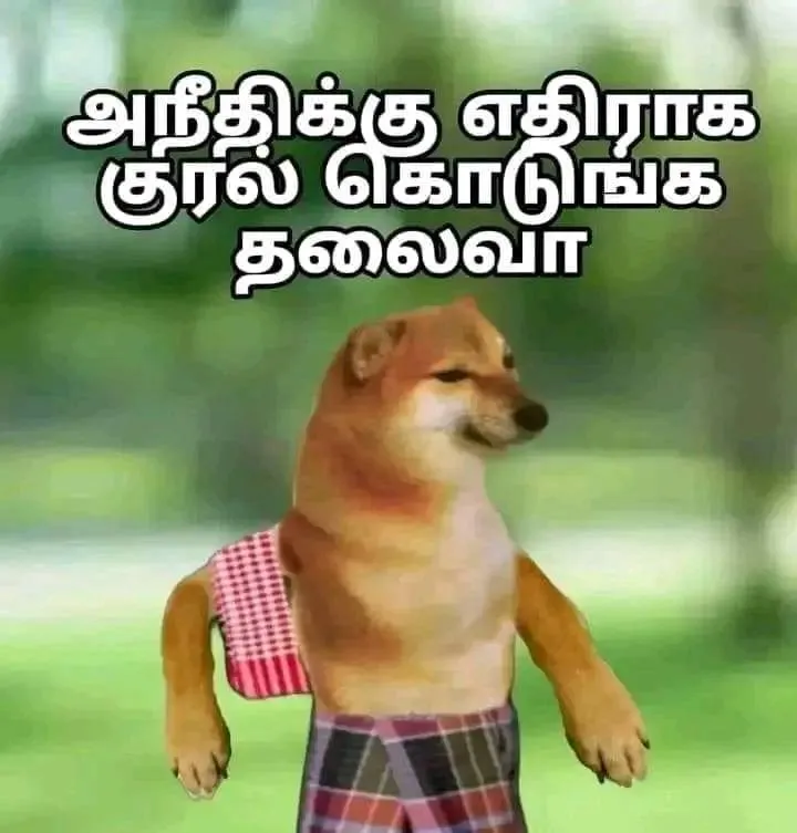 Cheems | Social justice Tamil Meme Templates