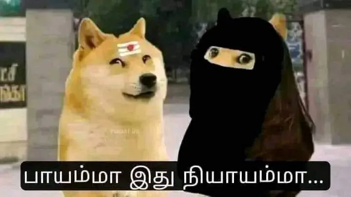 Cheems | Bhaiyamma idhu nyayama Tamil Meme Templates