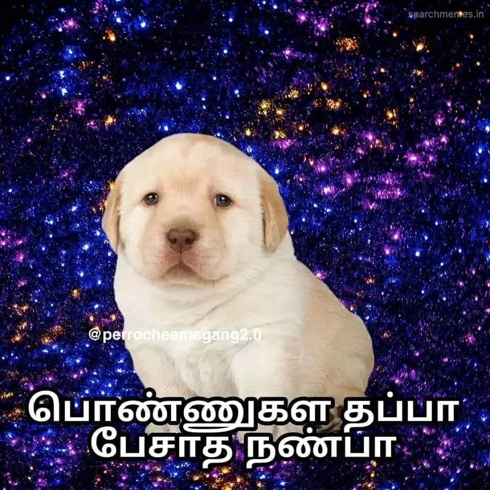 Perro-pengal Tamil Meme Templates