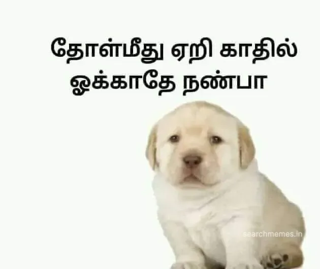 Perro-ear-fuck Tamil Meme Templates