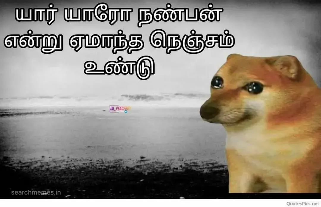 Song Tamil Meme Templates